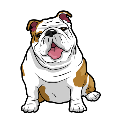 English Bulldog Sticker