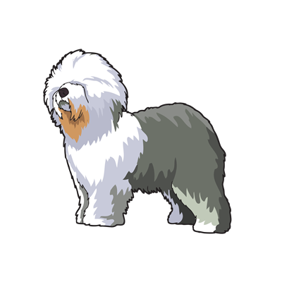 Old English Sheepdog Sticker