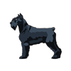 Schnauzer Sticker