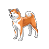 Shiba Inu Sticker