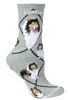 Wheel House Design Collie on Gray Socks (Size 9-11)