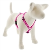 Lupine 3/4" Puppy Love 12-20" Roman Harness