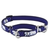 Lupine 3/4" Polar Paws 14-20" Martingale Training Collar