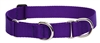 Lupine 1" Purple 15-22" Martingale Training Collar