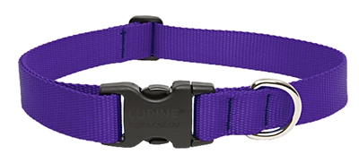 Lupine 1" Purple 16-28" Adjustable Collar