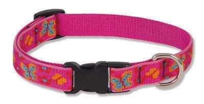 Retired Lupine 3/4" Grr-ly Dog 15-25" Adjustable Collar 