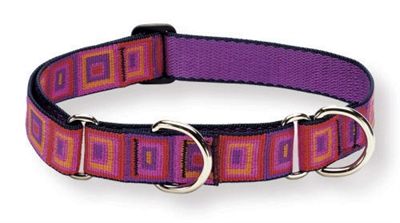 Retired Lupine 1" Ruby Cube 19-27" Martingale Training Collar