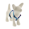 Lupine 1/2" Rain Song 12-20" Roman Harness