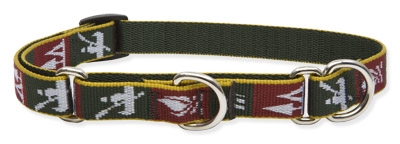 Retired Lupine 3/4" Trail Mix 10-14" Martingale Training Collar