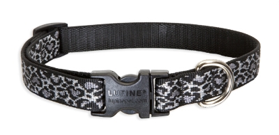 Retired Lupine 3/4" Wild Thing 9-14" Adjustable Collar 
