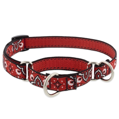 Retired Lupine 3/4" Wild West 10-14" Martingale Training Collar