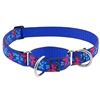 Lupine 1" Social Butterfly 15-22" Martingale Training Collar