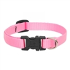 Lupine 1/2" Pink 10-16" Adjustable Collar