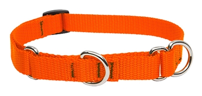 Lupine 3/4" Blaze Orange 10-14" Martingale Training Collar