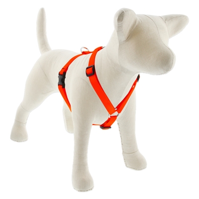 Lupine 3/4" Blaze Orange 12-20" Roman Harness