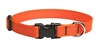 Lupine 3/4" Blaze Orange 13-22" Adjustable Collar