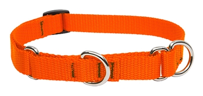 Lupine 3/4" Blaze Orange 14-20" Martingale Training Collar