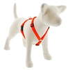 Lupine 3/4" Blaze Orange 14-24" Roman Harness