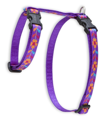 Retired Lupine 1/2" Spring Fling 9-14" H-Style Cat Harness