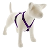 Lupine 3/4" Purple 12-20" Roman Harness