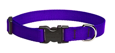 Lupine 3/4" Purple 13-22" Adjustable Collar