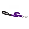 Lupine 3/4" Purple 2' Traffic Lead