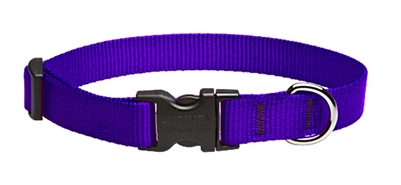 Lupine 3/4" Purple 9-14" Adjustable Collar