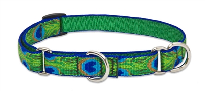 Lupine 3/4" Tail Feathers 14-20" Martingale Training Collar