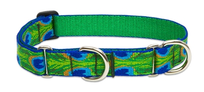 Lupine 1" Tail Feathers 15-22" Martingale Training Collar