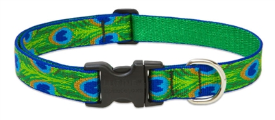 Lupine  1" Tail Feathers 16-28" Adjustable Collar