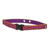 Lupine 3/4" Alpen Glow Dog Watch Collar Size 19-31"