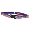 Lupine 3/4" Stars N Stripes Underground Fence Collar 16-24"