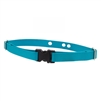 Lupine 3/4" Aqua Underground Fence Collar