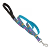 Lupine 3/4" Wet Paint! 6' Padded Handle Leash