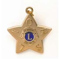 Award Achievement Medal