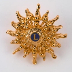 Sunburst Pin