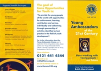 Young Ambassadors