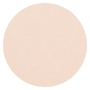 Pro Finish Compact - Dual Active Powder Foundation-Canvas