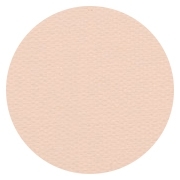 Pro Finish Compact - Dual Active Powder Foundation - Honey