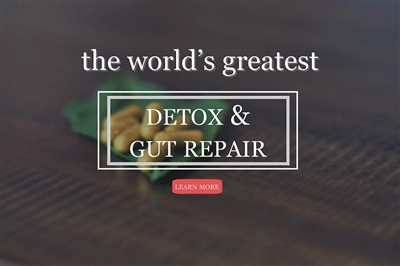 world's greatest detox and gut repair