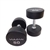 Vulcan Urethane Dumbbell Pairs