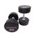 Vulcan Urethane Dumbbell Sets