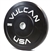 35 lb Bumper Plates