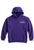 NHT Youth Pennant SUPER-10 Hoodie