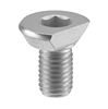 373811 Eccentric clamping bolt