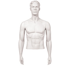 Male Mannequin Arms: Arms by Side, White