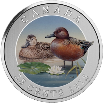 2015 25-cent Ducks of Canada - Cinnamon Teal Coloured Cupronickel Coin