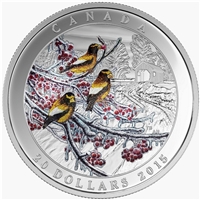 2015 Canada $20 Weather Phenomenon - Winter Freeze Fine Silver (No Tax)