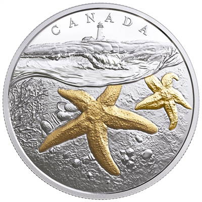 2017 Canada $20 From Sea to Sea - Atlantic Starfish Gold-Plated Silver (No Tax)