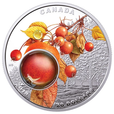 2018 Canada $20 Mother Nature's Magnification - Morning Dew Silver Coin